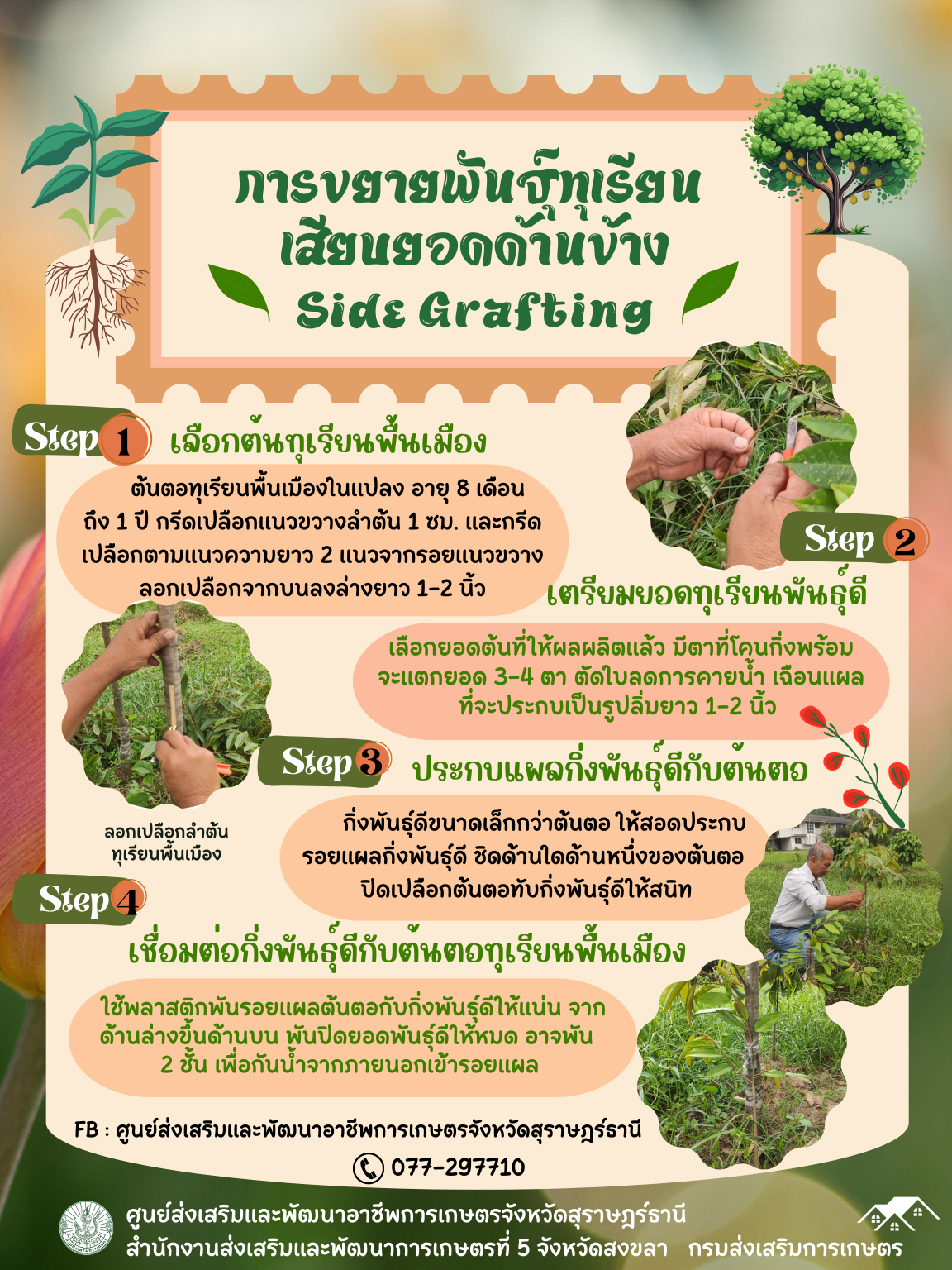 Infographic