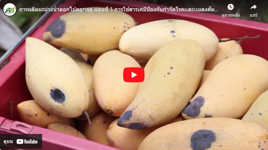 โรงเรียนเกษตรทางไกล โดย สถานีวิทยุกระจายเสียงเพื่อการเกษตร