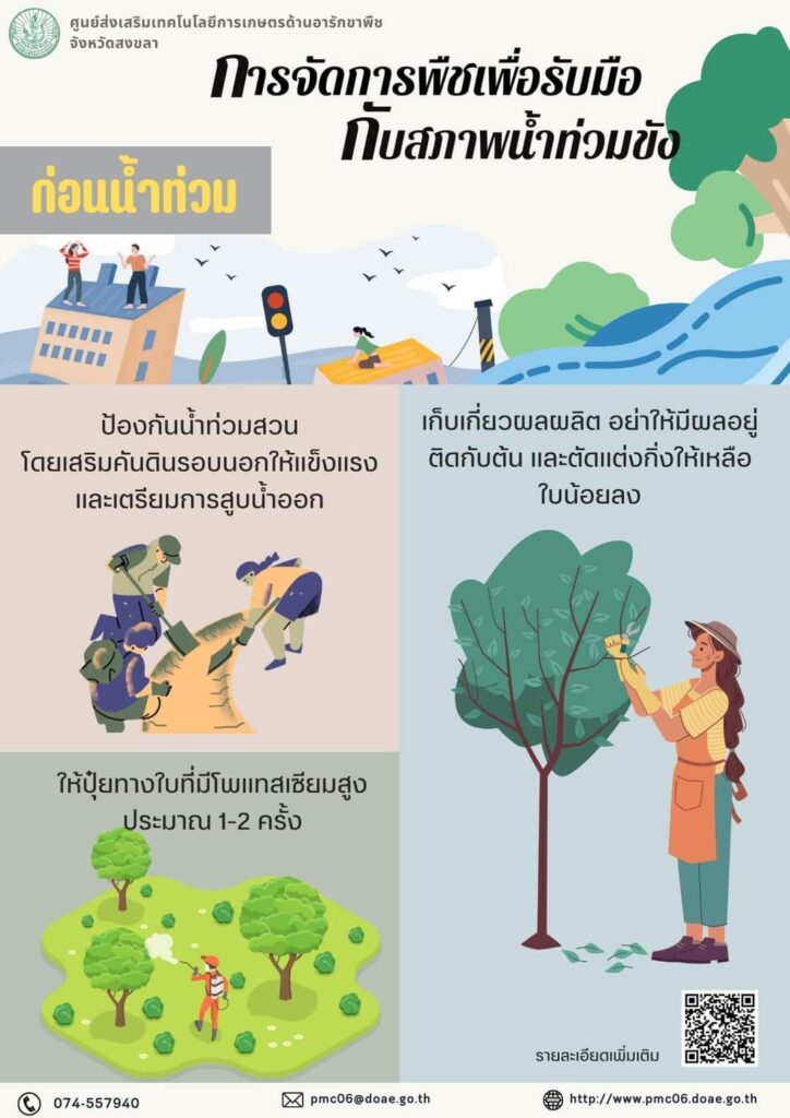 การจัดการพืชเพื่อรับมือกับสภาพน้ำท่วมขัง การจัดการพืชเพื่อรับมือกับสภาพน้ำท่วมขัง