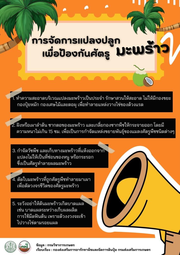 การจัดการแปลงปลูกเพื่อป้องกันศัตรูมะพร้าว