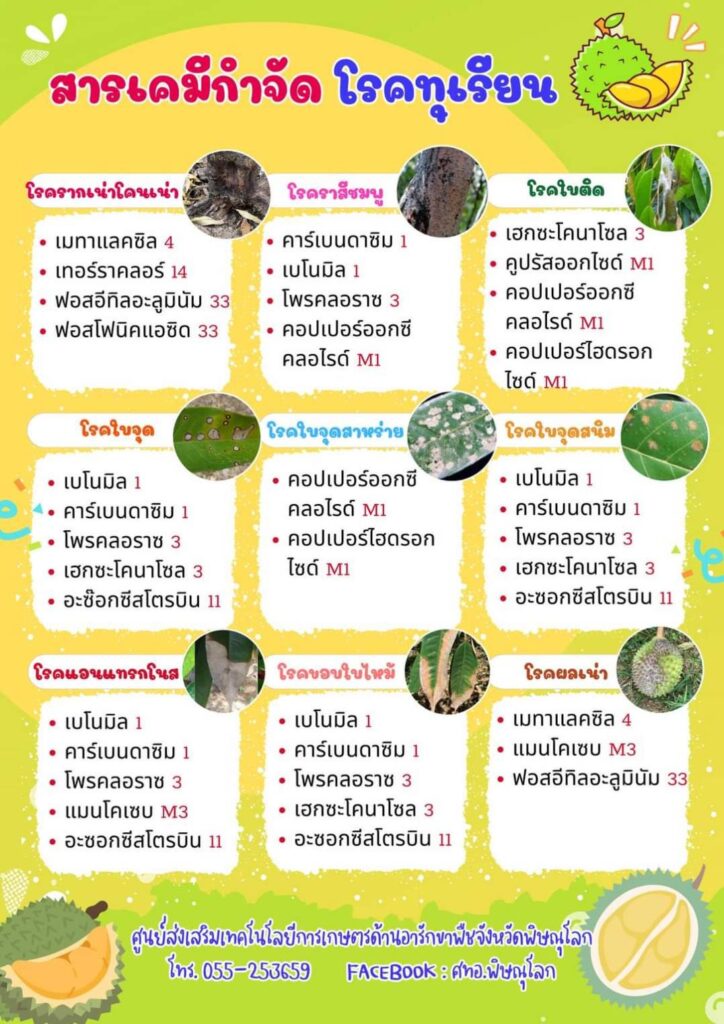 สารเคมีกำจัดโรคทุเรียน สารเคมีกำจัดโรคทุเรียน