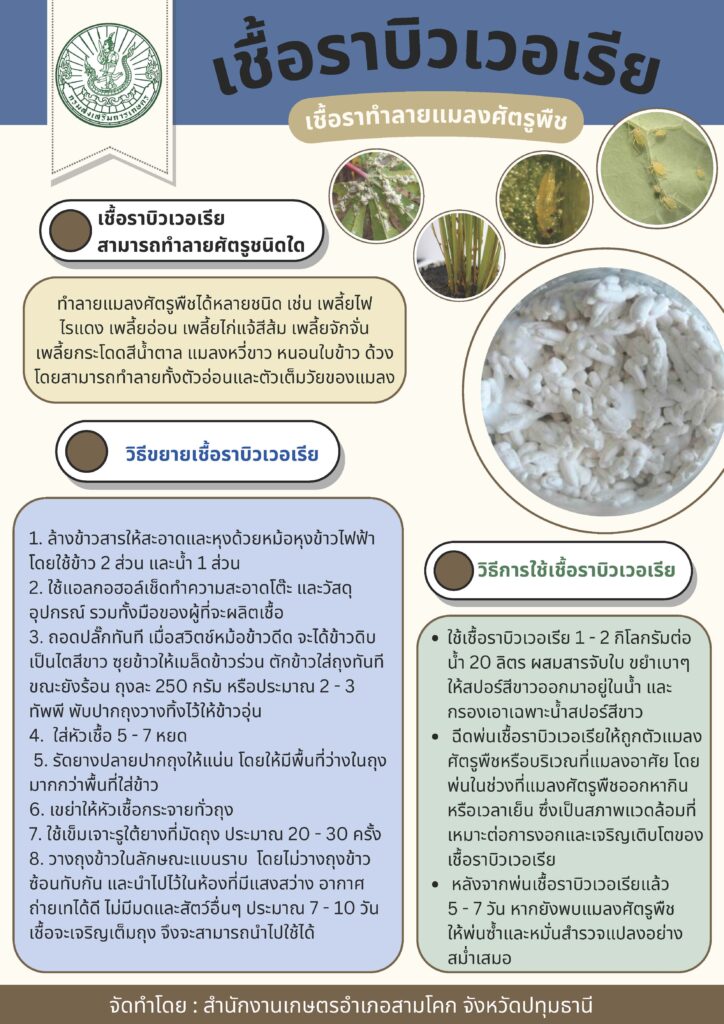 เชื้อราบิวเวอเรีย