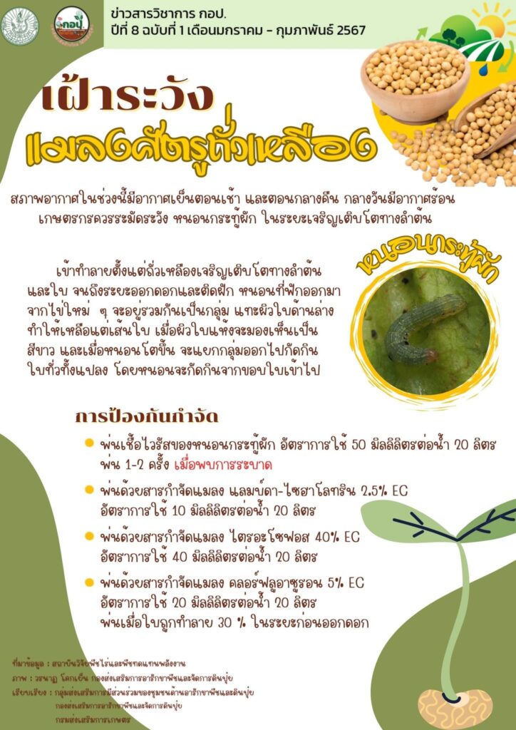 แมลงศัตรูถั่วเหลือง