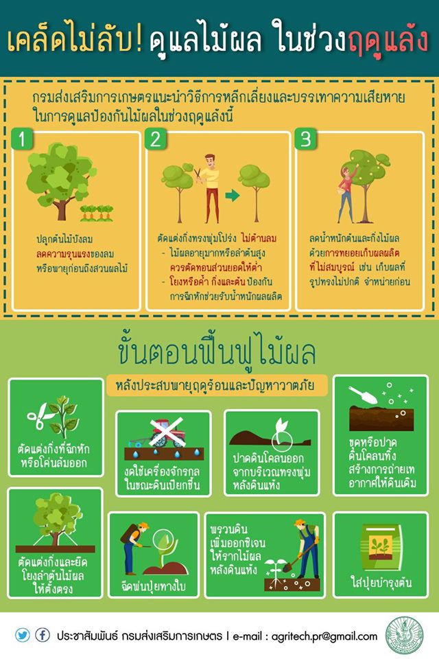 ถาม-ตอบ การกำหนดรหัสสีประจำกรมส่งเสริมการเกษตร