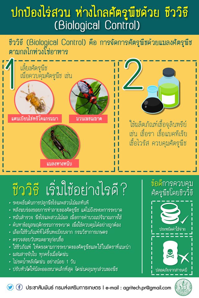 ถาม-ตอบ การกำหนดรหัสสีประจำกรมส่งเสริมการเกษตร