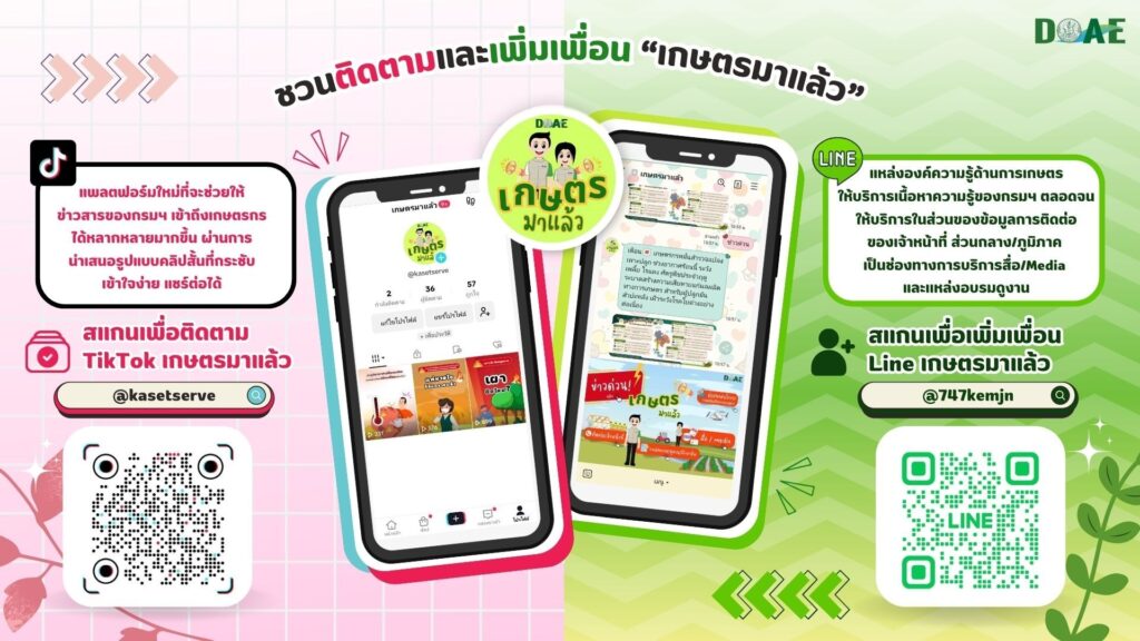 เชิญชวนติดตามและเพิ่มเพื่อน "เกษตรมาแล้ว" ผ่านช่องทาง TikTok และ Line เชิญชวนติดตามและเพิ่มเพื่อน "เกษตรมาแล้ว" ผ่านช่องทาง TikTok และ Line