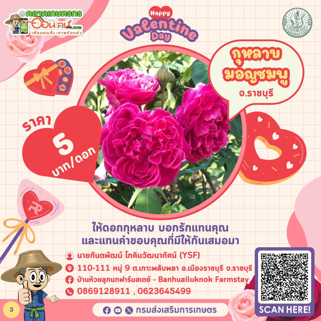 สินค้าต้อนรับวันวาเลนไทน์ 2567