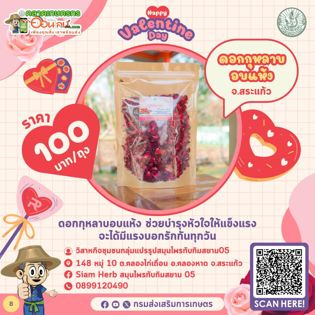 สินค้าต้อนรับวันวาเลนไทน์ 2567