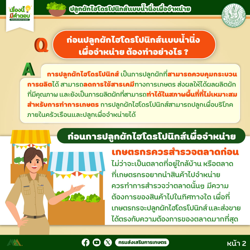 45. การปลูกผักไฮโดรโปนิกส์ (แบบน้ำนิ่ง) เพื่อจำหน่าย