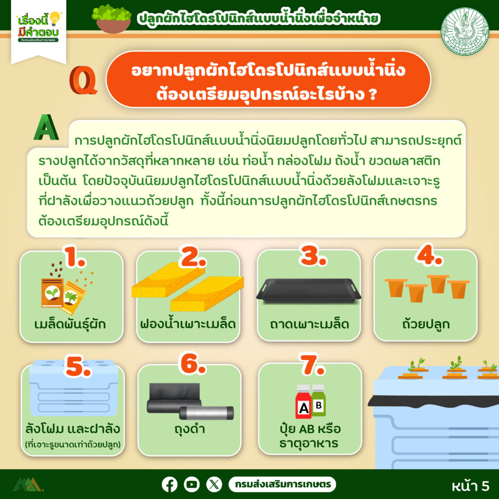 45. การปลูกผักไฮโดรโปนิกส์ (แบบน้ำนิ่ง) เพื่อจำหน่าย