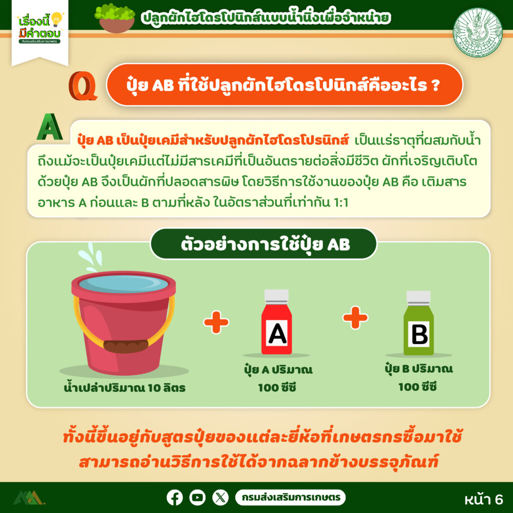 45. การปลูกผักไฮโดรโปนิกส์ (แบบน้ำนิ่ง) เพื่อจำหน่าย