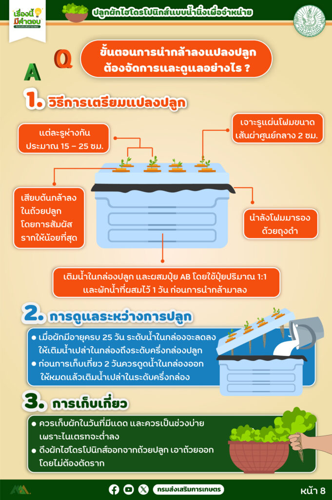 45. การปลูกผักไฮโดรโปนิกส์ (แบบน้ำนิ่ง) เพื่อจำหน่าย