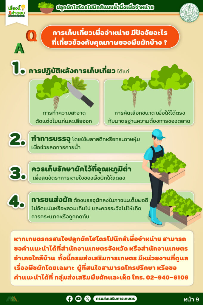 45. การปลูกผักไฮโดรโปนิกส์ (แบบน้ำนิ่ง) เพื่อจำหน่าย