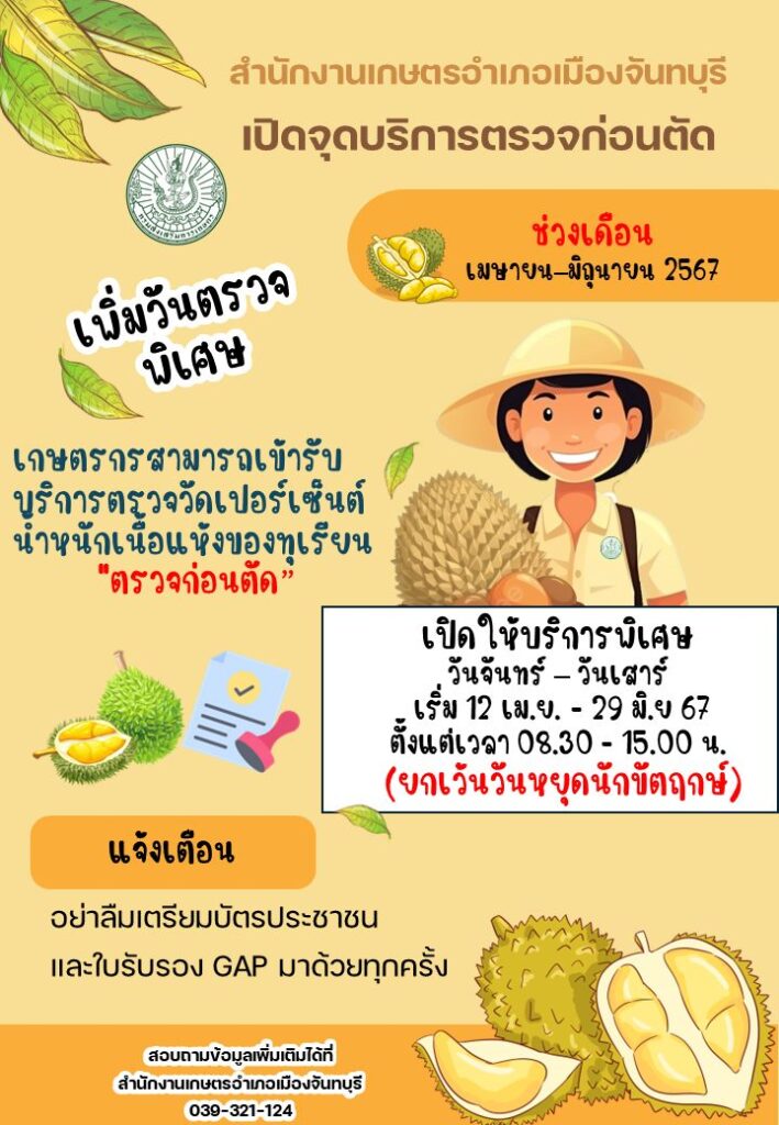 สำนักงานเกษตรอำเภอเมืองจันทบุรี เปิดให้บริการตรวจเปอร์เซ็นต์น้ำหนักเนื้อแห้งของทุเรียน