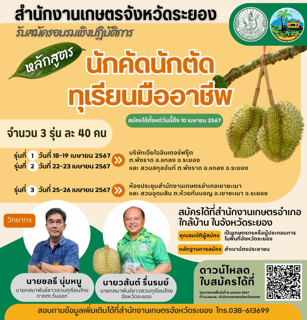 อบรมเชิงปฏิบัติการหลักสูตร "นักคัดนักตัดทุเรียนมืออาชีพ" จังหวัดระยอง อบรมเชิงปฏิบัติการหลักสูตร "นักคัดนักตัดทุเรียนมืออาชีพ" จังหวัดระยอง