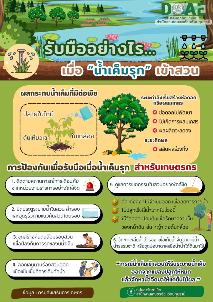 รับมืออย่างไร..เมื่อ "น้ำเค็มรุก" เข้าสวน