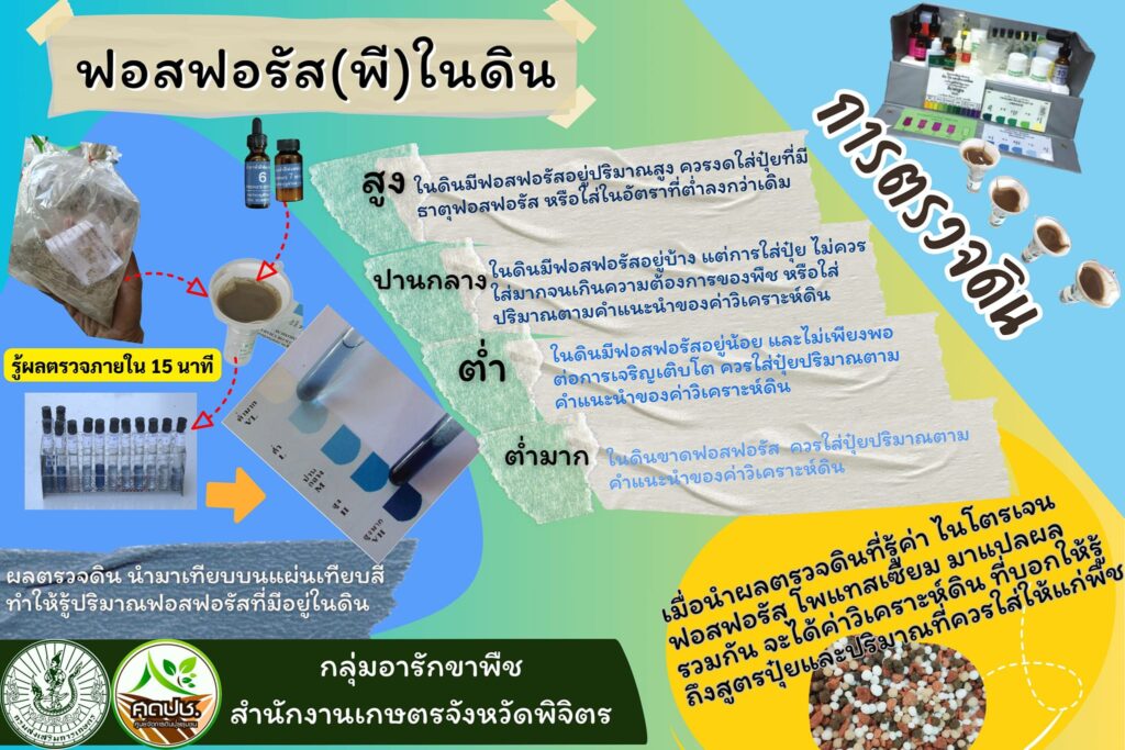 ธาตุฟอสฟอรัส (พี) ในดิน