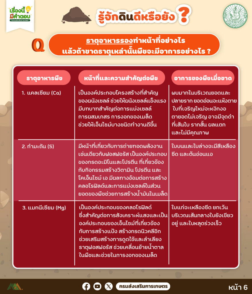 46. รู้จักดิน ดีหรือยัง