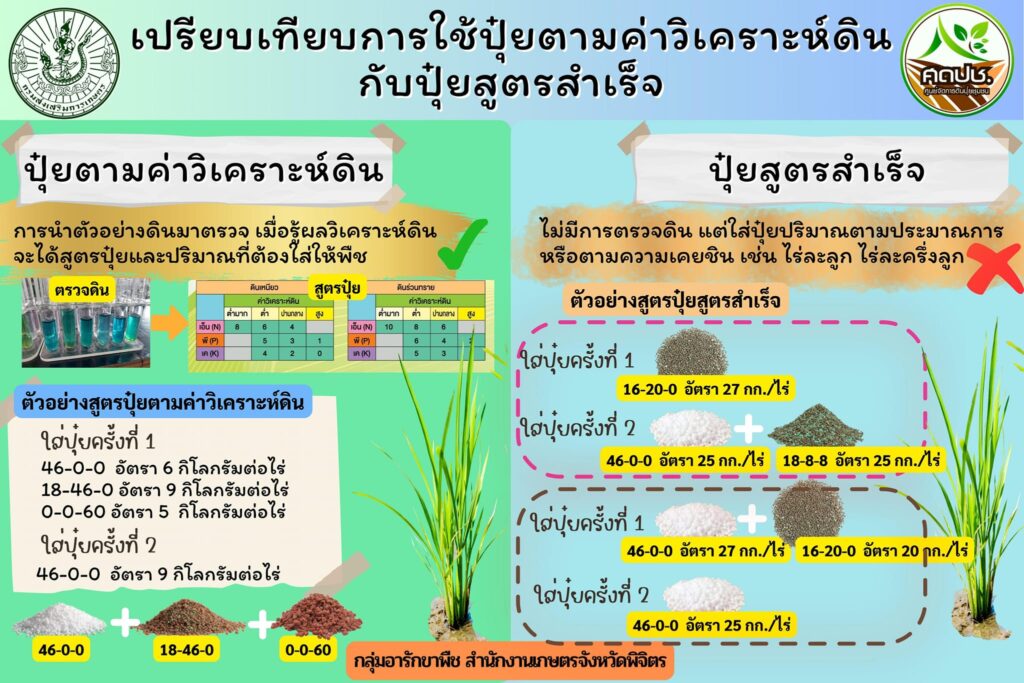 เปรียบเทียบการใช้ปุ๋ยตามค่าวิเคราะห์ดินกับปุ๋ยสูตรสำเร็จ