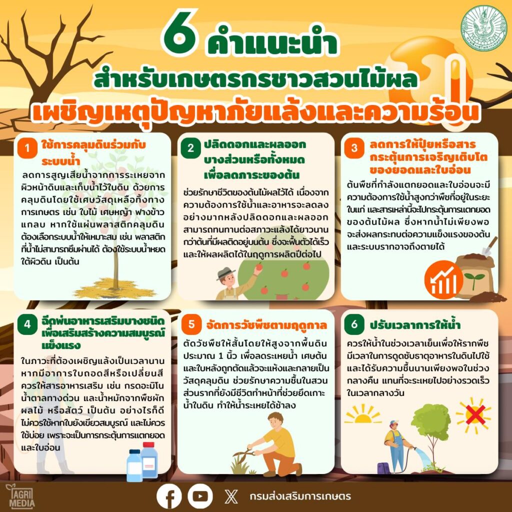 6 คำแนะนำสำหรับเกษตรกรชาวสวนไม้ผล เผชิญเหตุปัญหาภัยแล้งและความร้อน