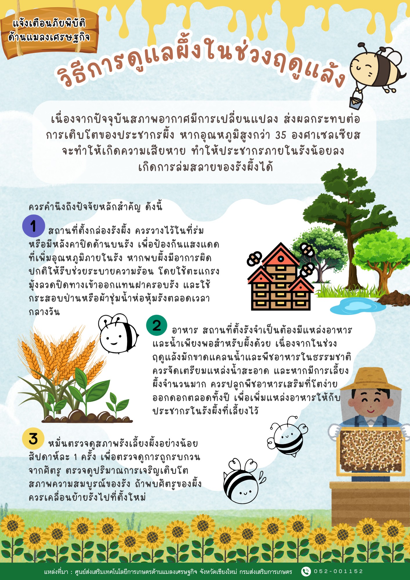 Infographic