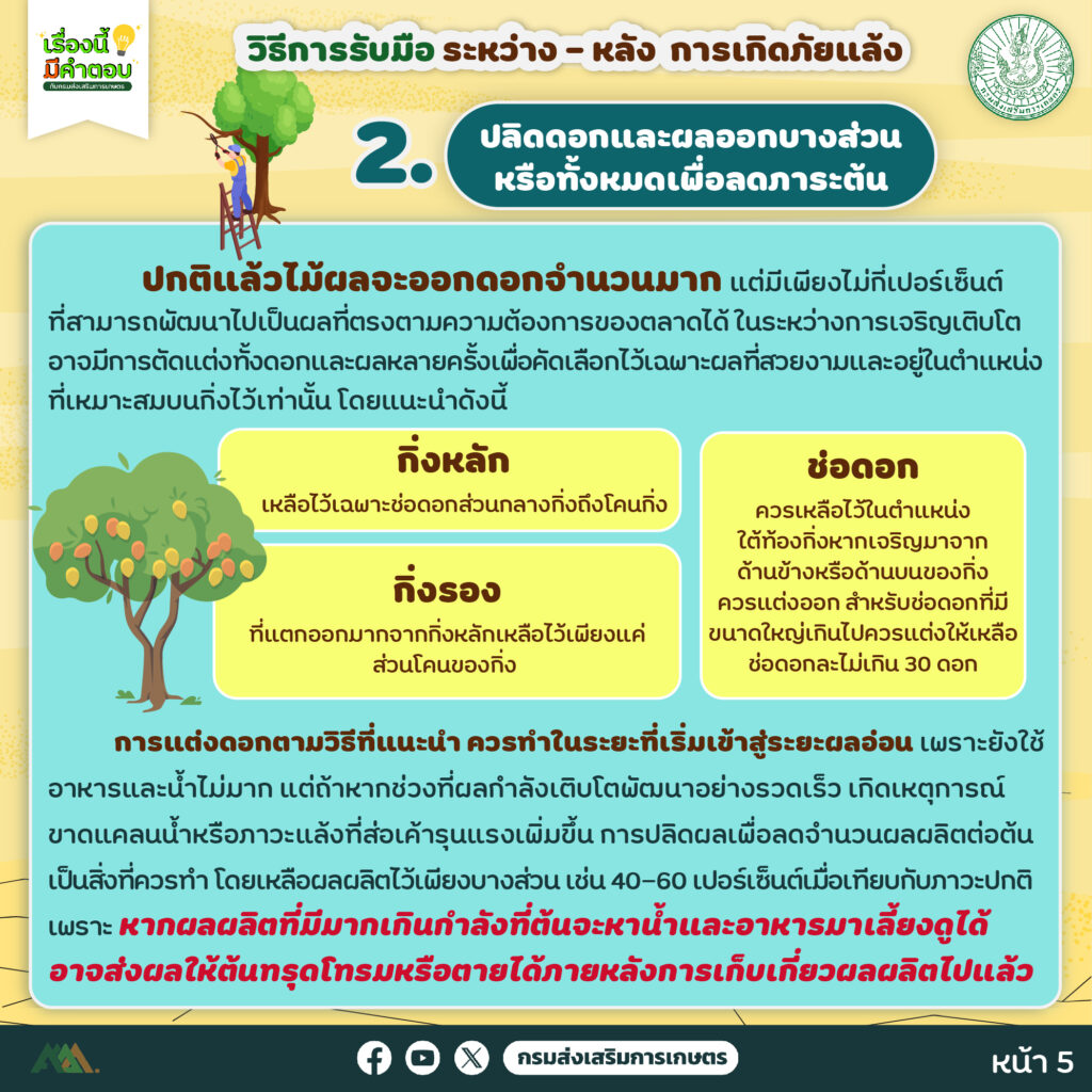 48.วิธีการรับมือ ระหว่าง – หลัง การเกิดภัยแล้ง