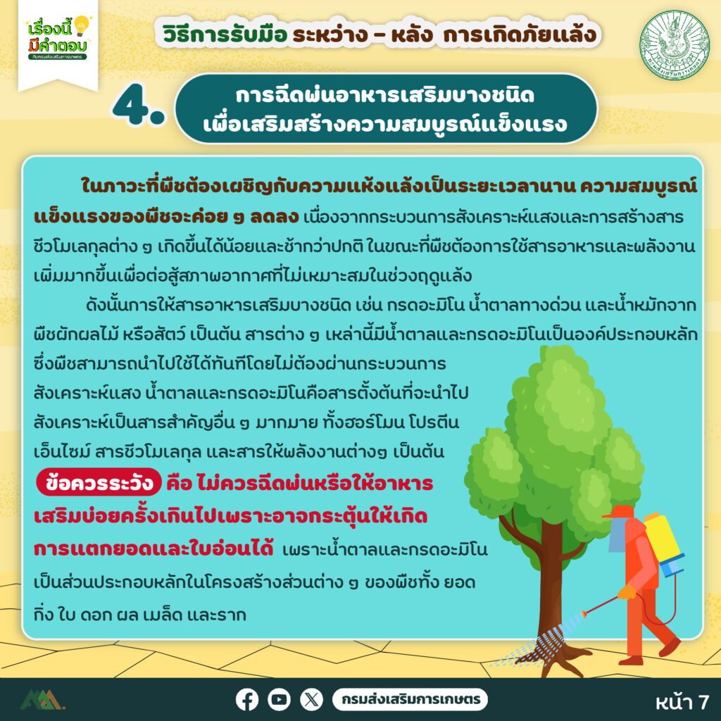 48.วิธีการรับมือ ระหว่าง – หลัง การเกิดภัยแล้ง