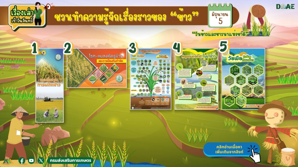 เรื่องเล่าเช้าวันจันทร์ ชวนทำความรู้จักเรื่องราวของ “ข้าว”