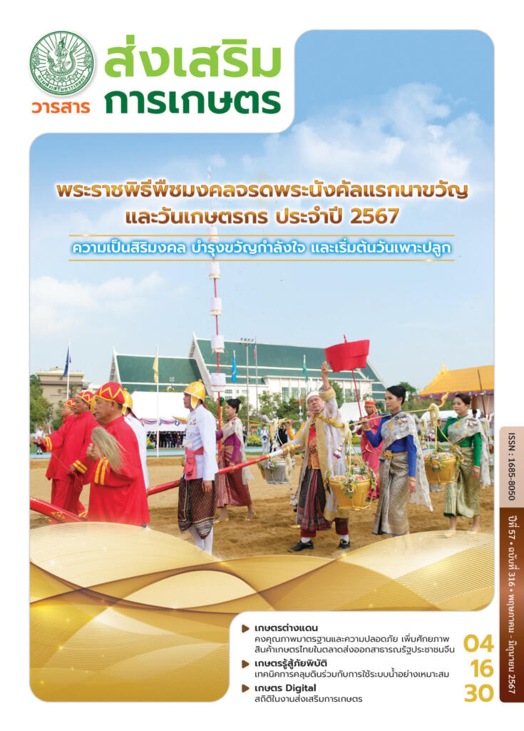 วารสารส่งเสริมการเกษตร ปีที่ 57 ฉบับที่ 316 (พฤษภาคม – มิถุนายน 2567)