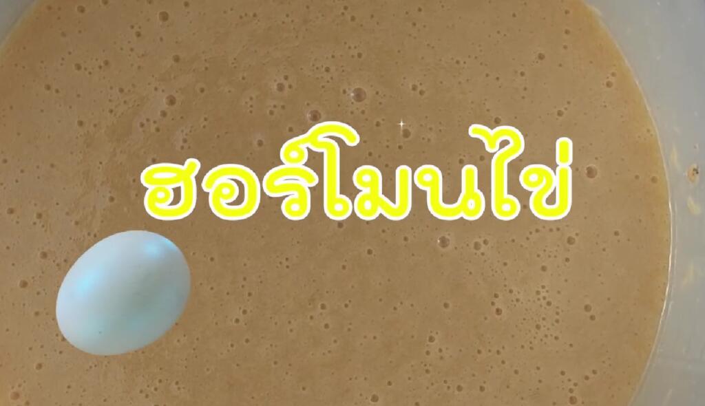 ฮอร์โมนไข่