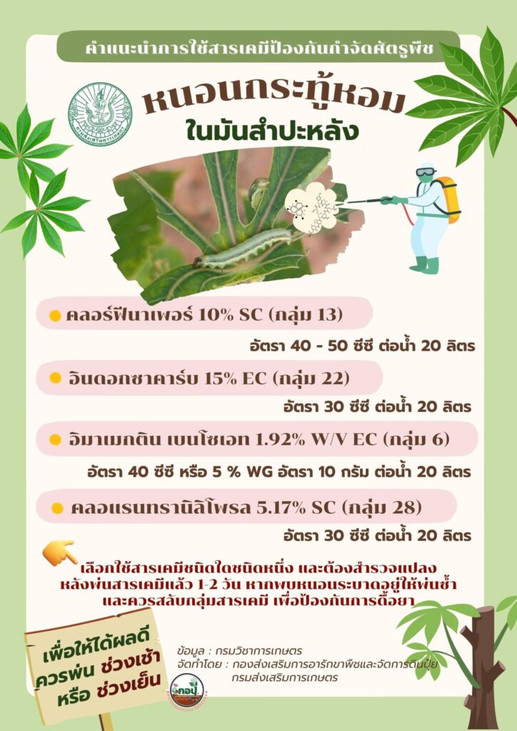 คำแนะนำการใช้สารเคมีป้องกันกำจัดศัตรูพืช หนอนกระทู้หอมในมันสำปะหลัง