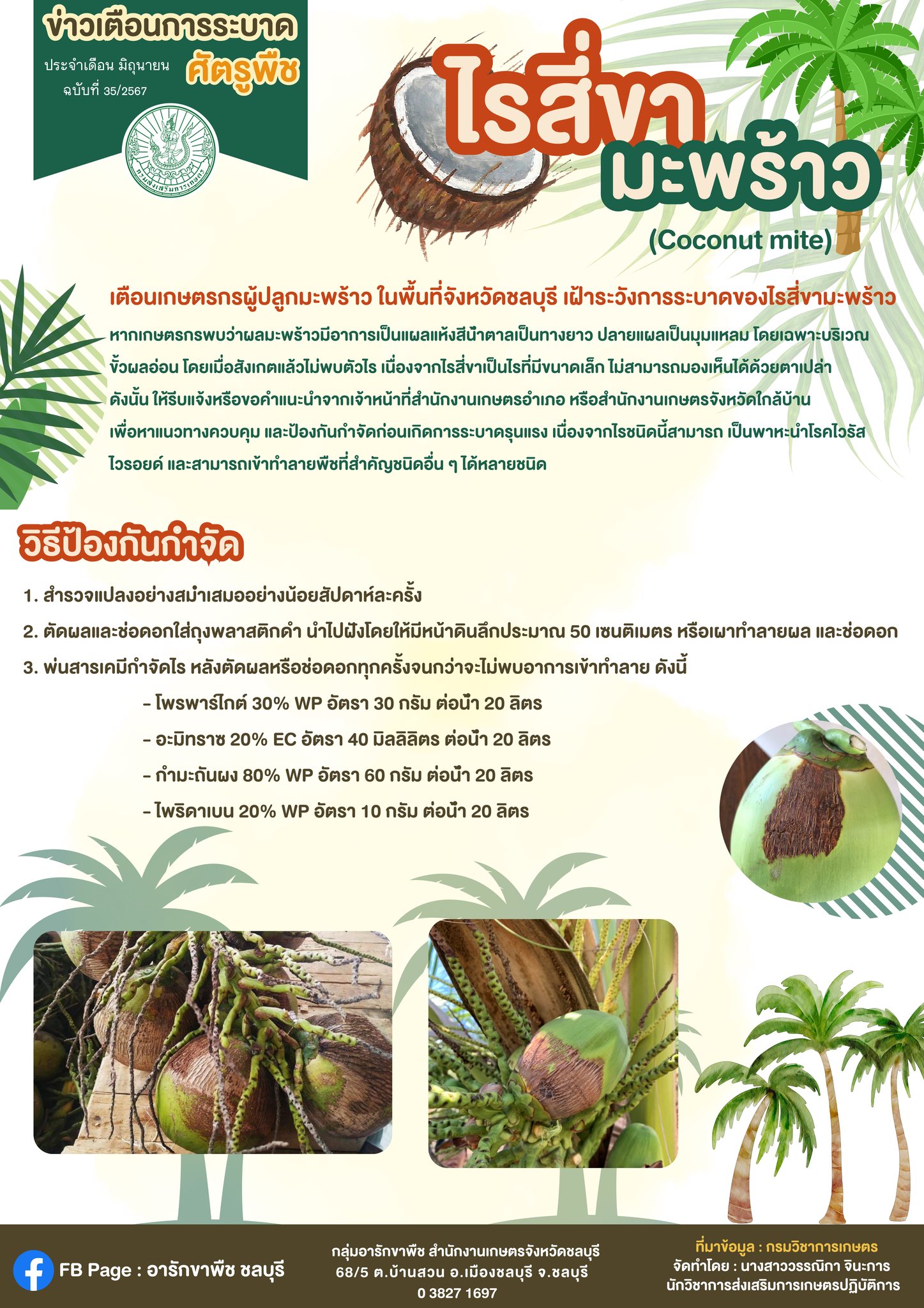 ไรสี่ขามะพร้าว (Coconut mite)