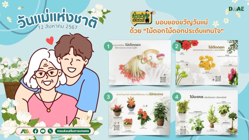 เรื่องเล่าเช้าวันจันทร์ มอบของขวัญวันแม่ด้วย "ไม้ดอกไม้ประดับแทนใจ"