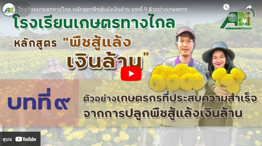 บทที่ 9 ตัวอย่างเกษตรกรที่ประสบความสำเร็จจากการปลูกพืชสู้แล้งเงินล้าน