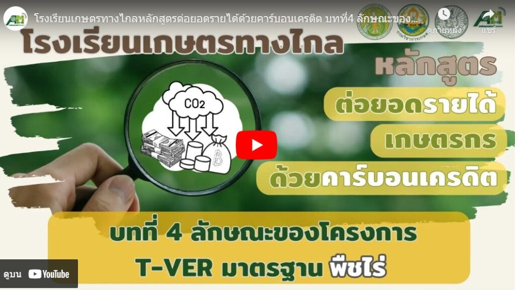 บทที่ 4 ลักษณะของโครงการ T Ver มาตรฐานพืชไร่