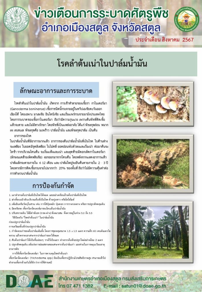 โรคลำต้นเน่าในปาล์มน้ำมัน โรคลำต้นเน่าในปาล์มน้ำมัน