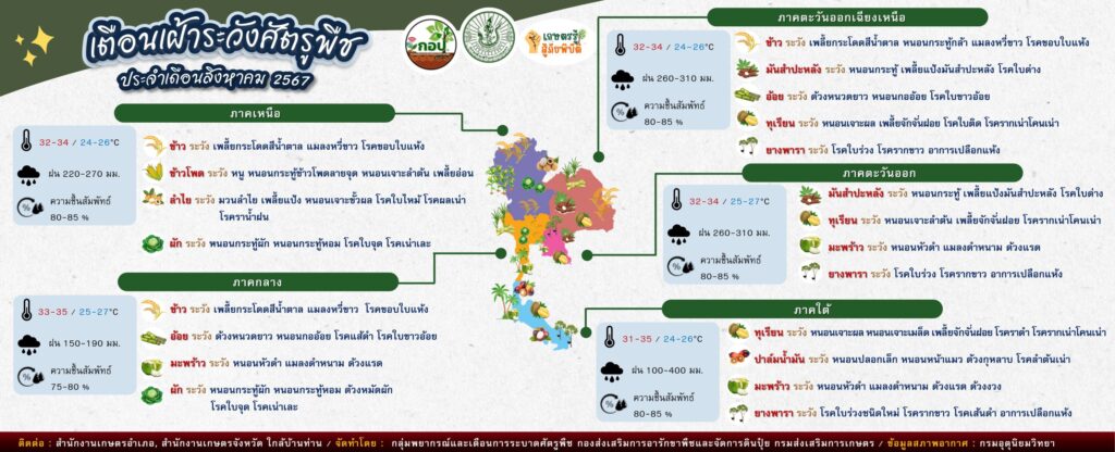 เตือนเฝ้าระวังศัตรูพืช ประจำเดือนสิงหาคม 2567