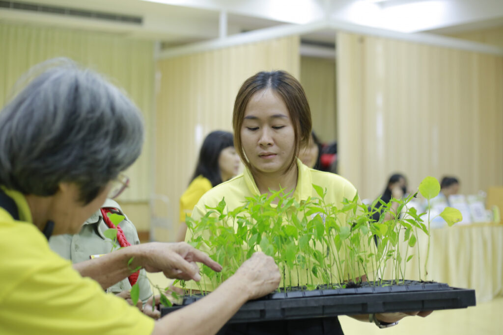 โครงการรณรงค์ส่งเสริมการปลูกผักสวนครัวในภาชนะ