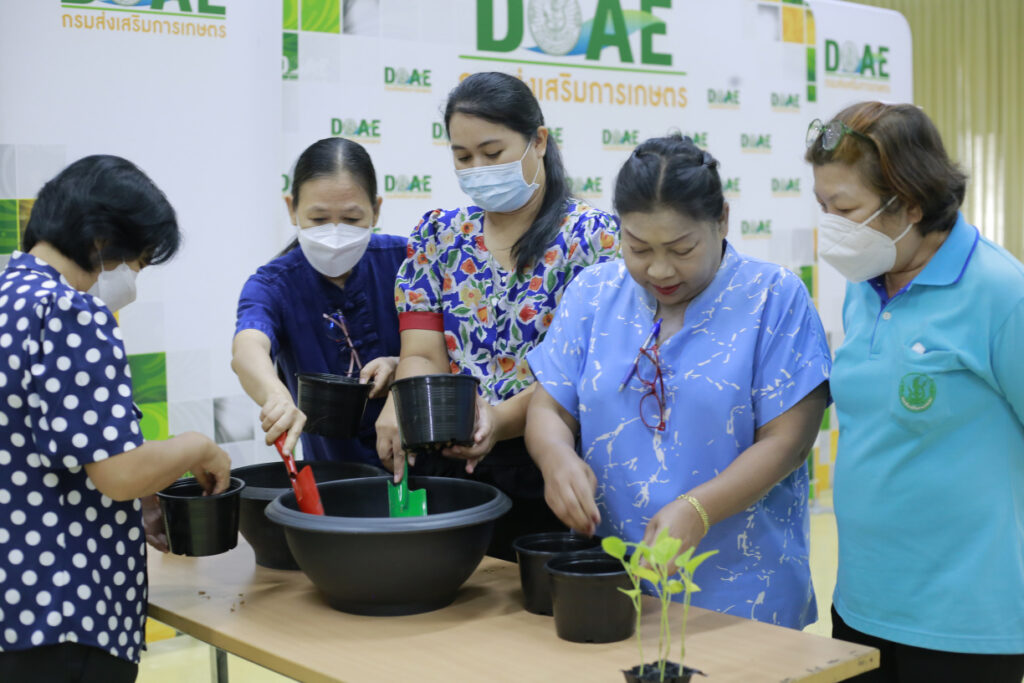 โครงการรณรงค์ส่งเสริมการปลูกผักสวนครัวในภาชนะ