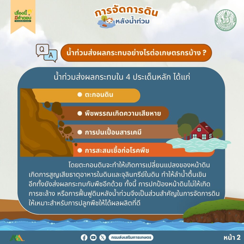 53. การจัดการดินหลังน้ำท่วม