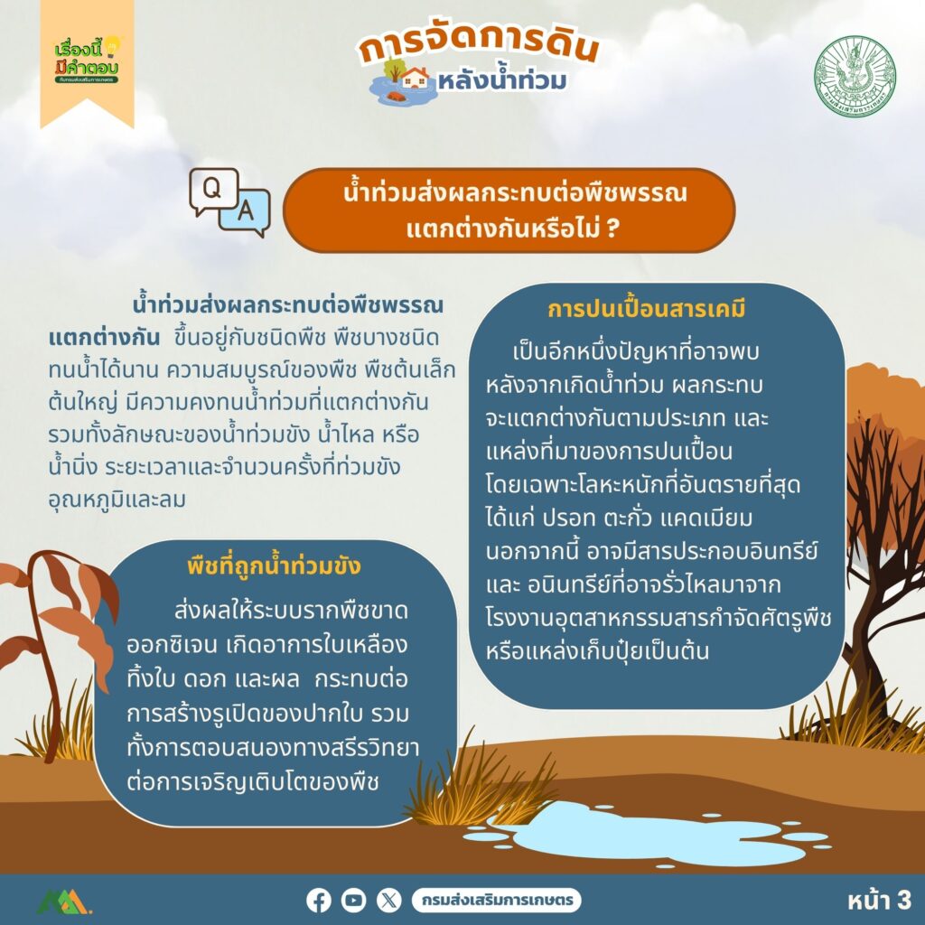 53. การจัดการดินหลังน้ำท่วม