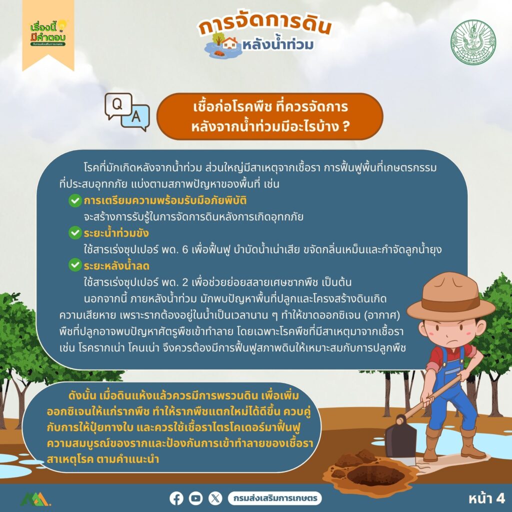 53. การจัดการดินหลังน้ำท่วม