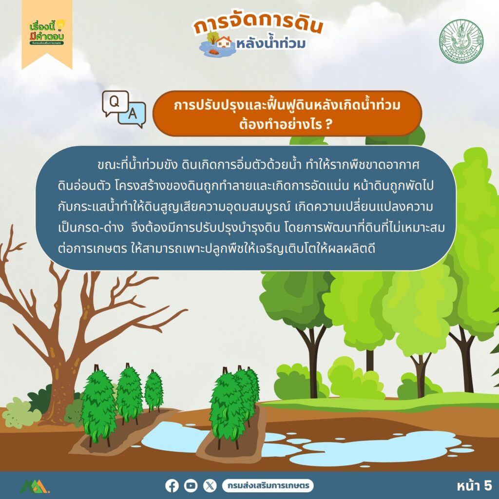 53. การจัดการดินหลังน้ำท่วม