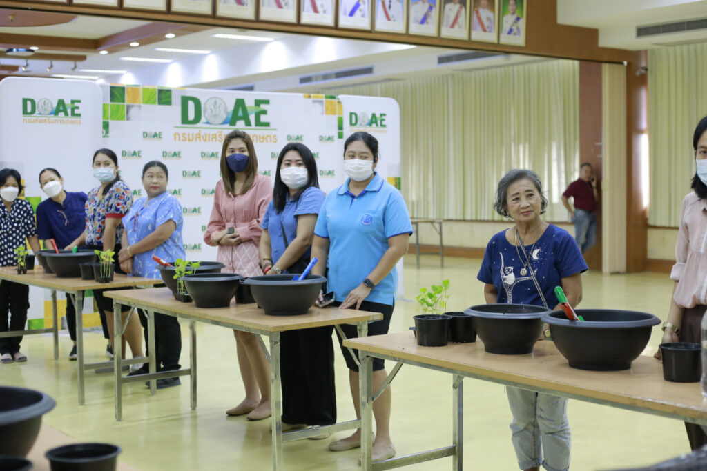 โครงการรณรงค์ส่งเสริมการปลูกผักสวนครัวในภาชนะ