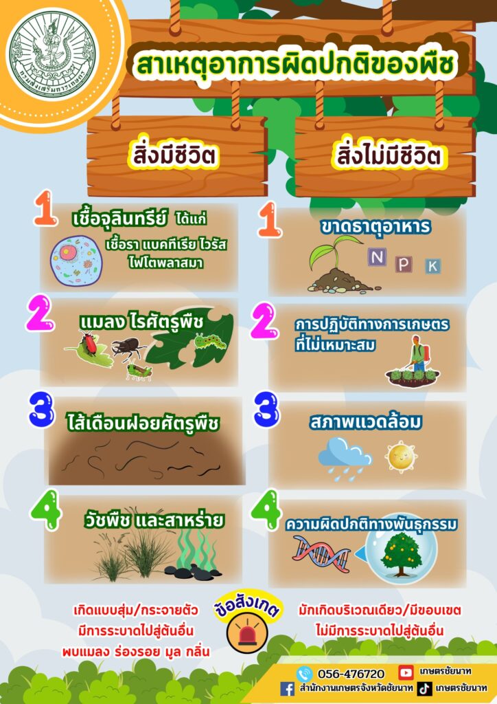 สาเหตุอาการผิดปกติของพืช