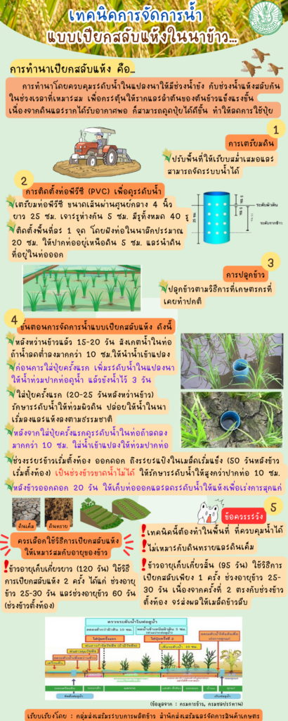 เทคนิคการจัดการน้ำแบบเปียกสลับแห้งในนาข้าว