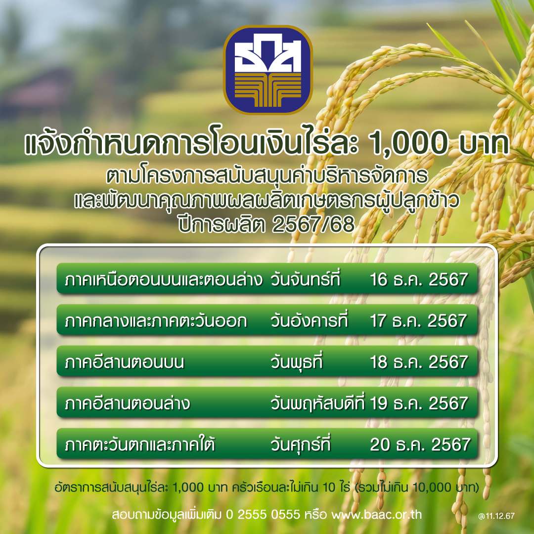 ตรวจสอบสถานะการแจ้งเพาะปลูกข้าวปี 2567/2568