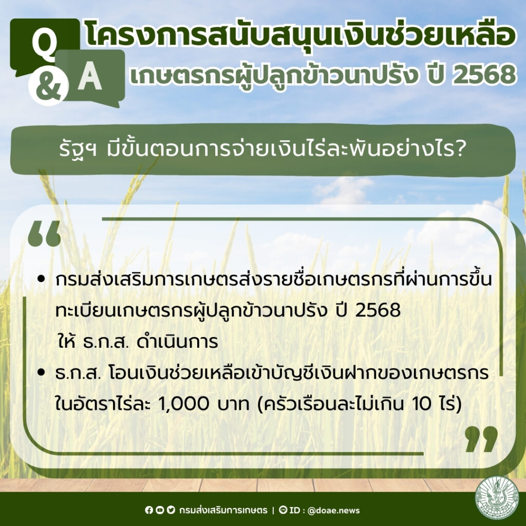 ตรวจสอบสถานะการแจ้งเพาะปลูกข้าวปี 2567/2568 (ไร่ละ 1,000) ตรวจสอบสถานะการแจ้งเพาะปลูกข้าวปี 2567/2568 (ไร่ละ 1,000)