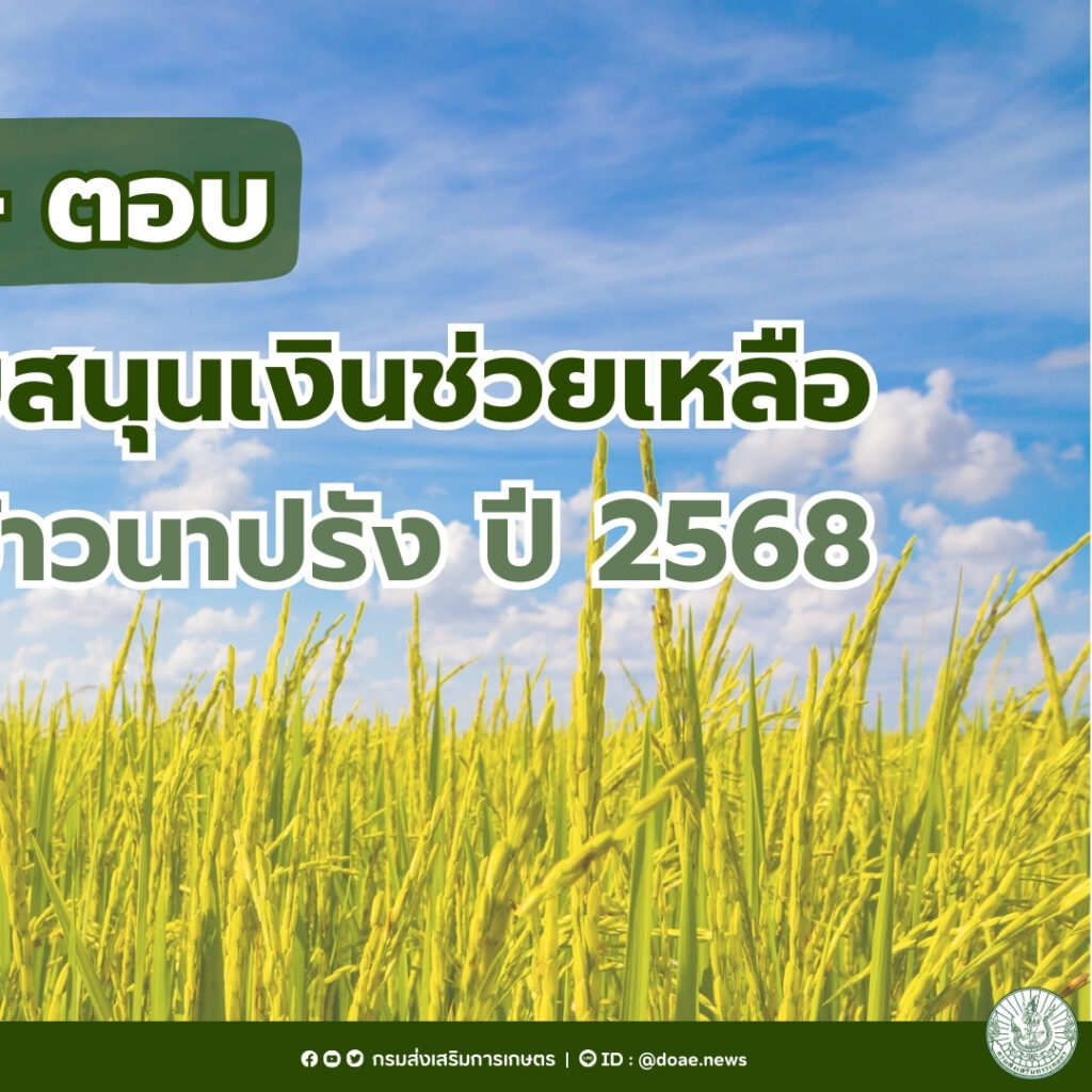 ตรวจสอบสถานะการแจ้งเพาะปลูกข้าวปี 2567/2568 (ไร่ละ 1,000) ตรวจสอบสถานะการแจ้งเพาะปลูกข้าวปี 2567/2568 (ไร่ละ 1,000)