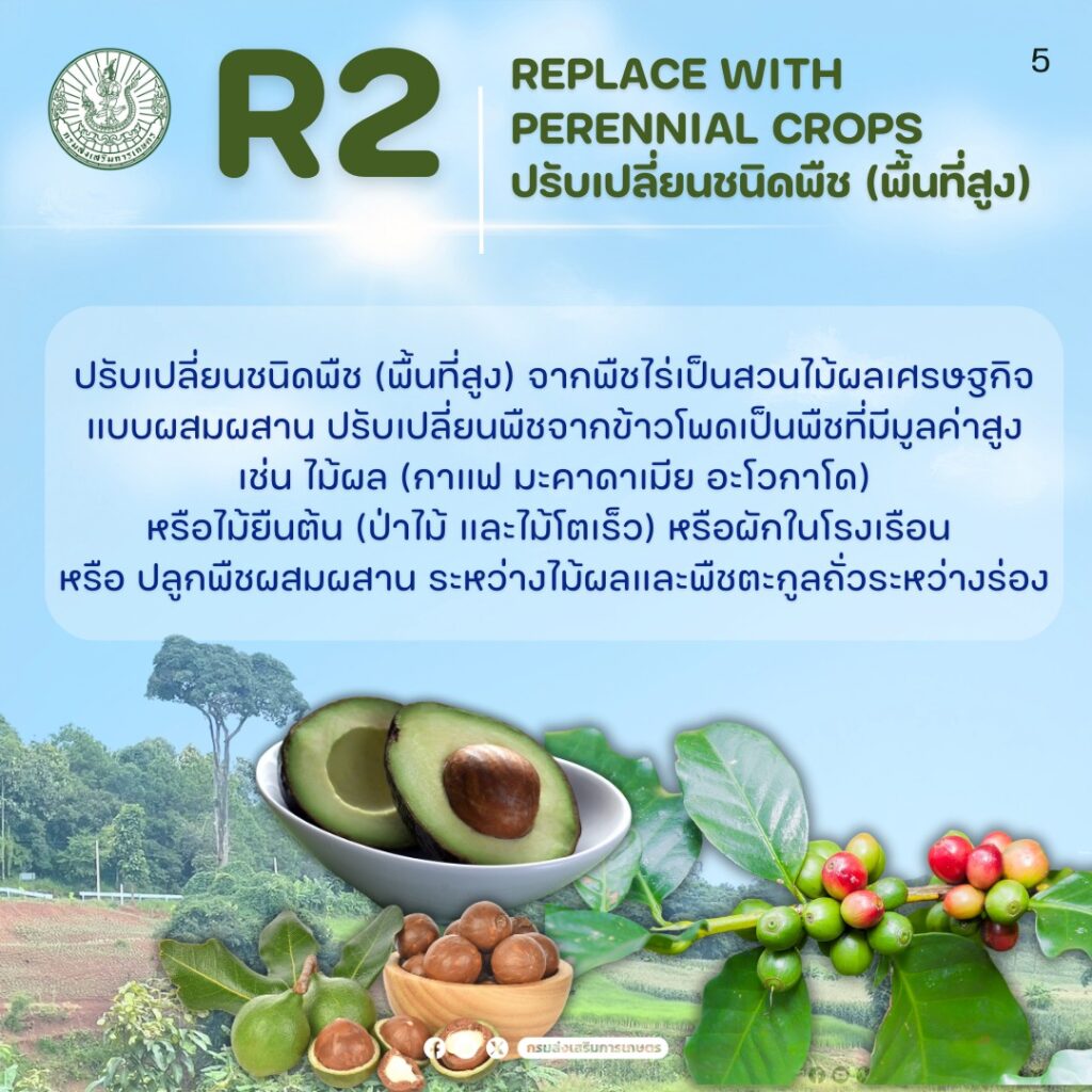 ลดต้นทุนการผลิตและสร้างรายได้ให้เกษตรกรด้วย "3R Model"